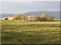 Border Farmstead