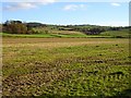 Stubble field near Rhydyware