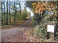 Lane to Upper Langdales Farm