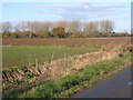 Stonham Road, looking across field to small wood