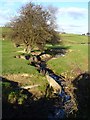 Brook from Llandyssil Bridge