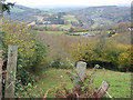 View down a hillside across the Wye Valley