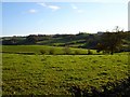 South from the drive to Cefnbryntalch