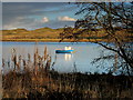 Small boat at high water on the Ythan Estuary