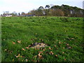 Littlemayne hamlet and the Stone Circle