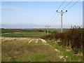 Field edge near Binbrook