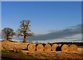 Straw bales at Raith