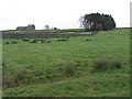 Pastures and woodland below Highfield House