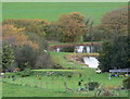 Tan y Mynydd Fishery