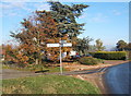 Lane junction near Moats Tye