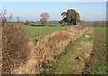 Footpath skirting Hall grounds, Battisford