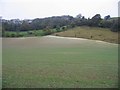 View across farmland