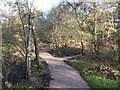 Footpaths in the Rough Wood Local Nature Reserve