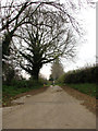 Entrance and driveway to Brampton Hall Farm