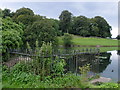 Cuckney - mill pond sluice railings