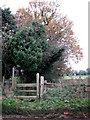 Stile and footpath