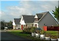 New Houses At Coalhall