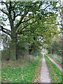 Public bridleway with concreted tracks