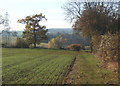 Farmland and countryside near Gibbon