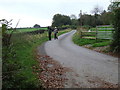 ST5654 : Lane to Nettwood Farm by Roger Nunn