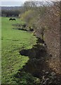 Watercourse below Babbington Village