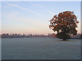 Playing fields, Sonning