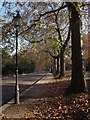 Carriage Drive South, Battersea Park