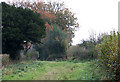 Bridleway  to Aston Botterell, Shropshire