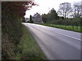 H7346 : Derrycourtney Road (A28) by Kenneth  Allen