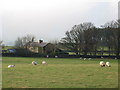 Pastures near High Scotch Hall