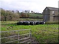 Farm at Derryhaw