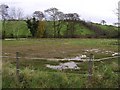 Kilcreevy Townland