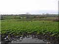 Maghery Townland