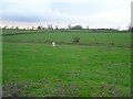 Maghery Townland