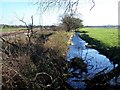 SJ9838 : River Blithe Near Lower Newton Farm by Geoff Pick