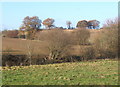 Countryside west of Aldham