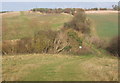 Grassy track towards Brick Barn