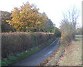 Corn Hatches Lane, near Elmsett