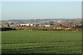 2007 : Wheatfield near Hilperton