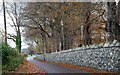 The Sweetwall Road near Parkgate