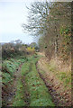 Mower Lane (Track)