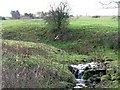 Minor tributary of Wooley Burn