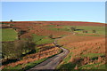 The Road To Cefn Bola-Maen