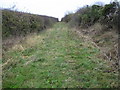 Latchford: Former Buntingford branch railway line