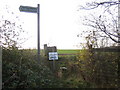 Dassels: The end of Hobbs Lane footpath