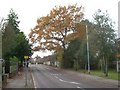 Wymondley Road, Hitchin