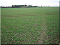 Latchford: Footpath to Standon Lodge Farm