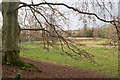 View of walled garden of West Meon House from footpath