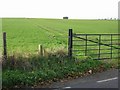 Farm track across the North Downs near Adisham