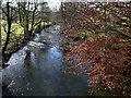 River Bray from Brayley Bridge